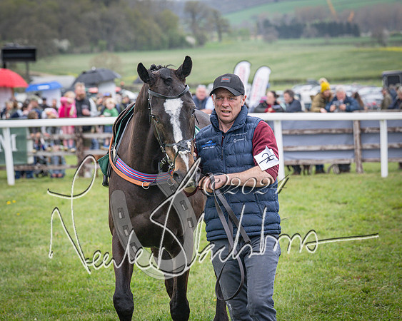 Race 2 - Tattersalls Cheltenham 4 year old Maiden (9 of 85)