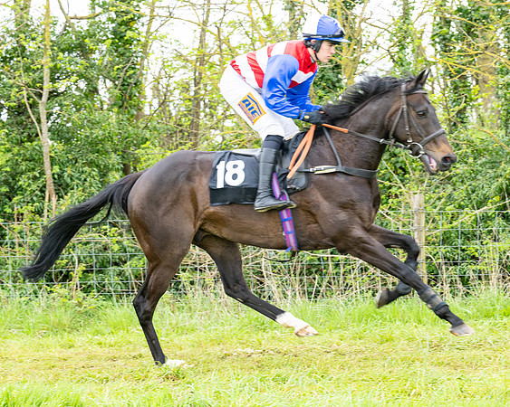 Race 2 - 2M4F Conditions (46 of 195)