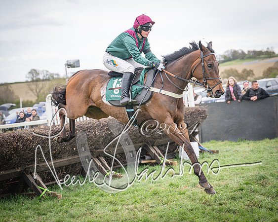 Race 6 - The Restricted Race (47 of 101)