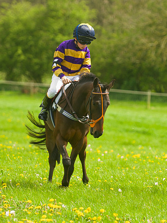 Pony Race - 2    23