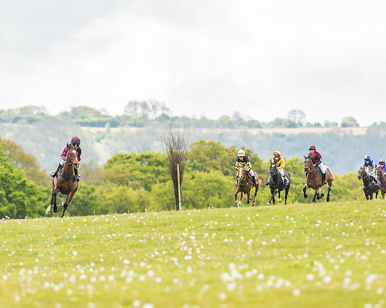 South East Area non racing pony final