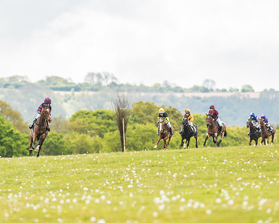 South East Area non racing pony final