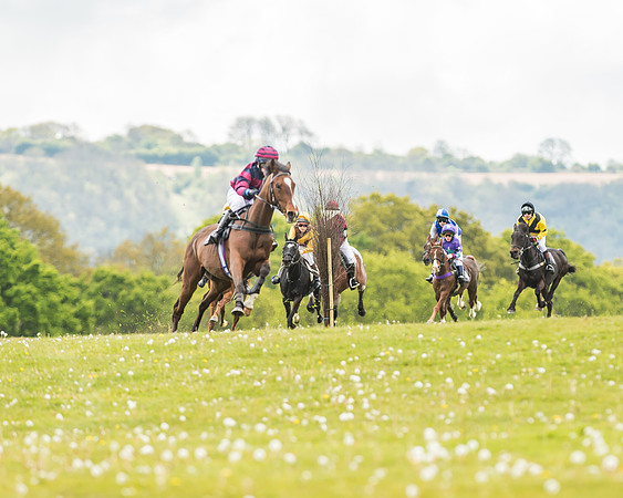 South East Area non racing pony final