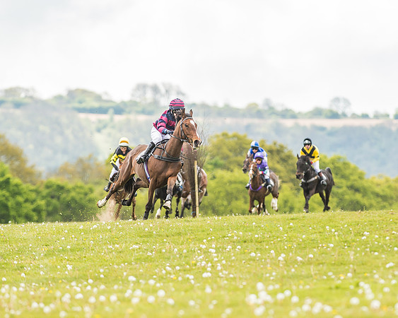 South East Area non racing pony final
