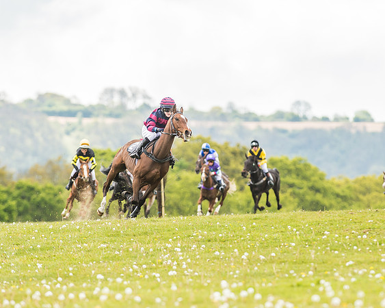 South East Area non racing pony final