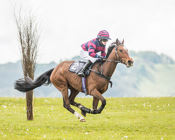 South East Area non racing pony final