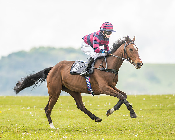 South East Area non racing pony final