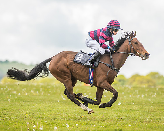 South East Area non racing pony final