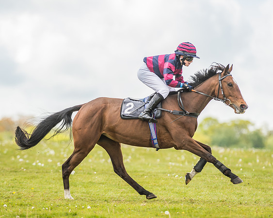 South East Area non racing pony final