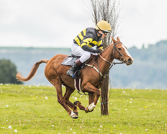 South East Area non racing pony final
