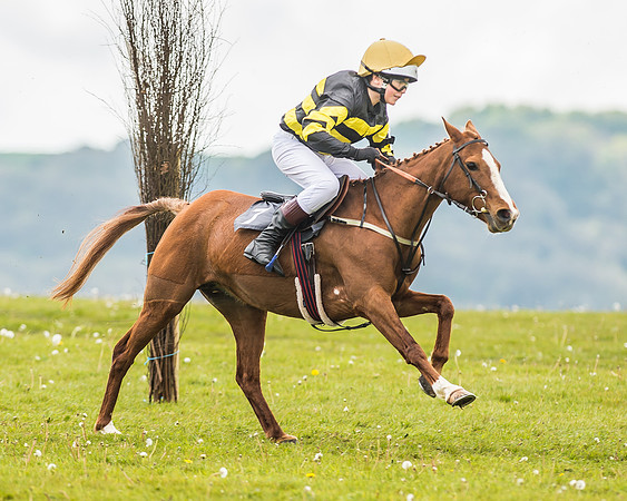 South East Area non racing pony final