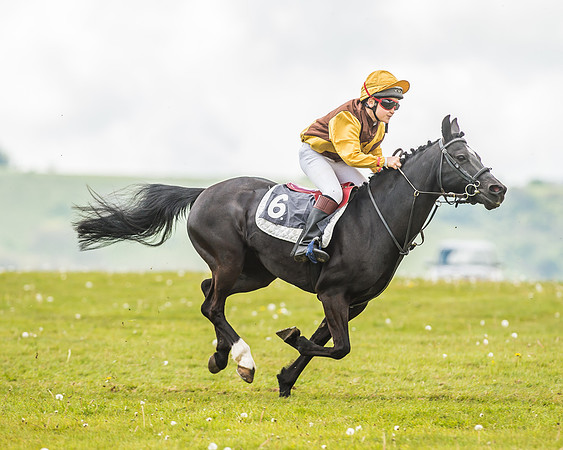 South East Area non racing pony final