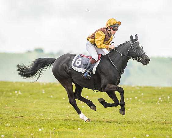 South East Area non racing pony final