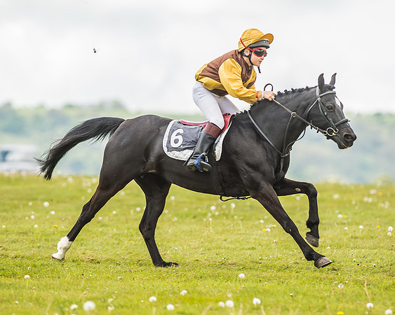 South East Area non racing pony final