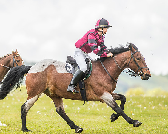 South East Area non racing pony final