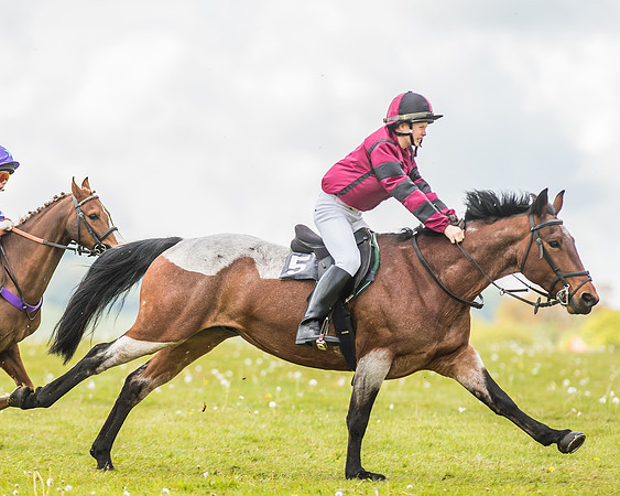South East Area non racing pony final