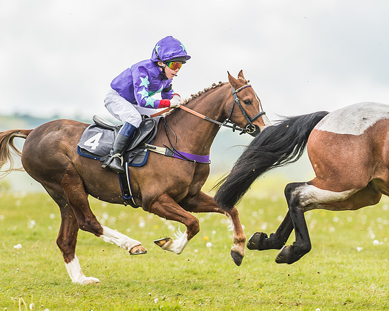 South East Area non racing pony final