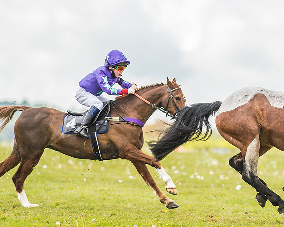 South East Area non racing pony final