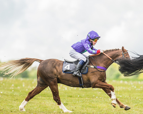 South East Area non racing pony final