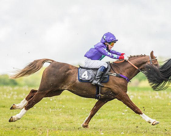 South East Area non racing pony final