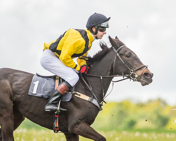 South East Area non racing pony final