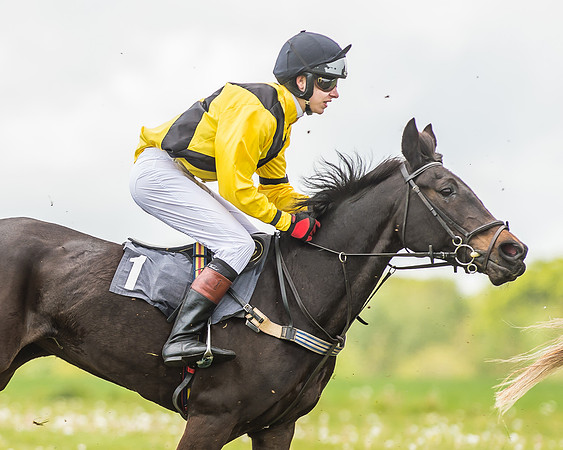 South East Area non racing pony final