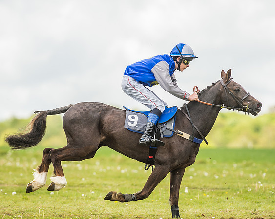 South East Area non racing pony final