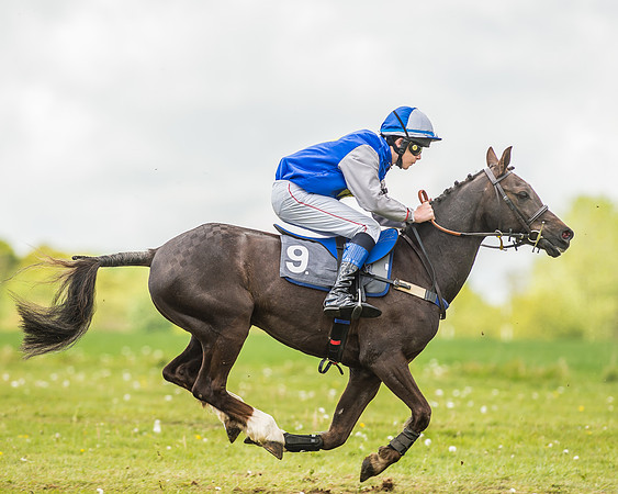 South East Area non racing pony final