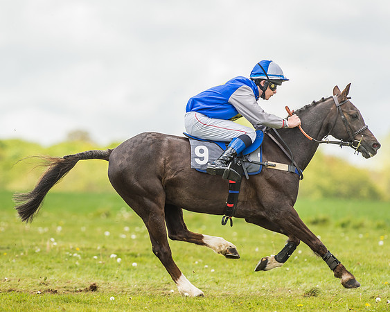 South East Area non racing pony final