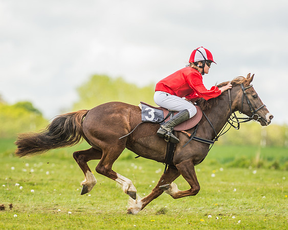 South East Area non racing pony final
