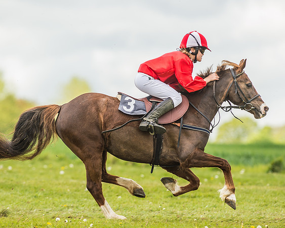 South East Area non racing pony final