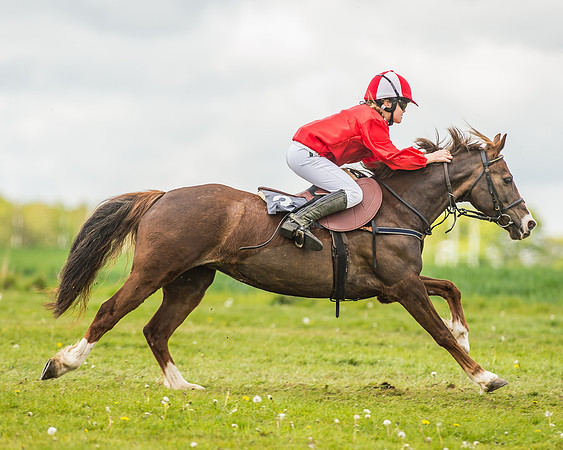 South East Area non racing pony final