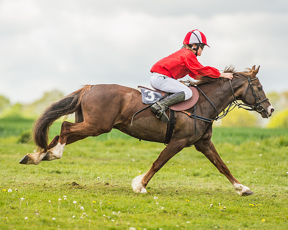 South East Area non racing pony final