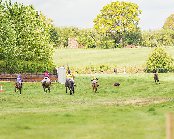 South East Area non racing pony final