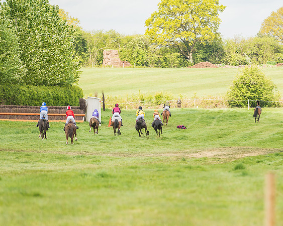 South East Area non racing pony final