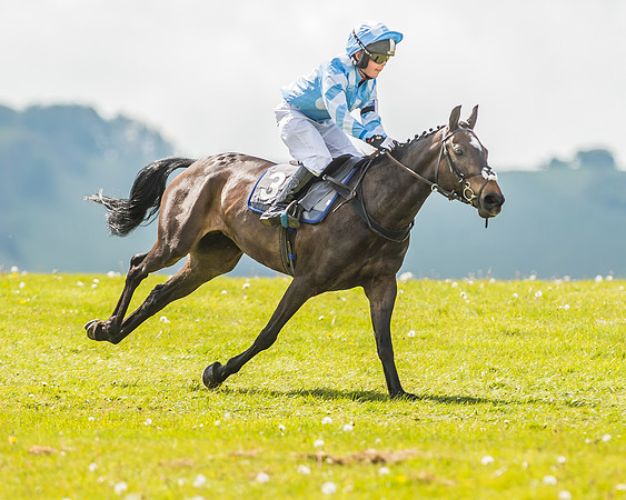 138cm Open Pony Race