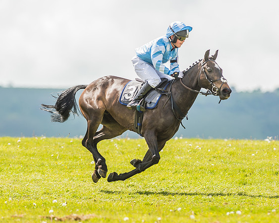 138cm Open Pony Race