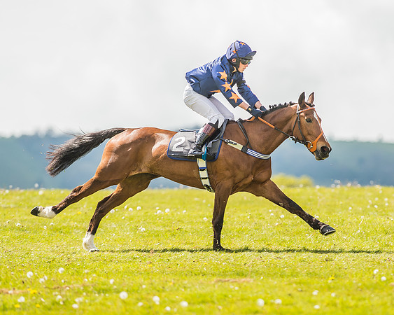 138cm Open Pony Race