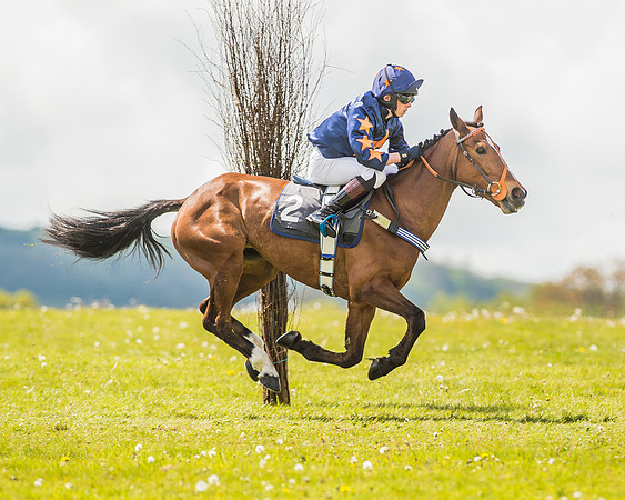 138cm Open Pony Race