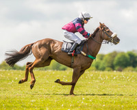 138cm Open Pony Race