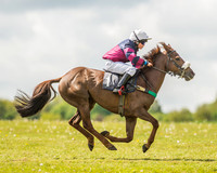 138cm Open Pony Race