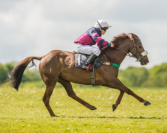 138cm Open Pony Race