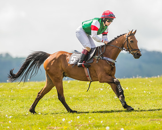 138cm Open Pony Race