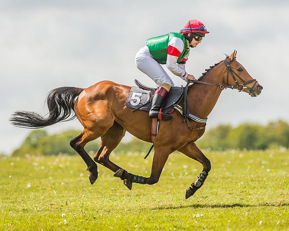 138cm Open Pony Race