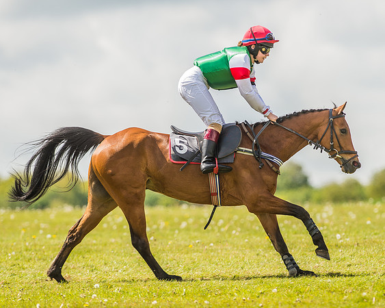 138cm Open Pony Race