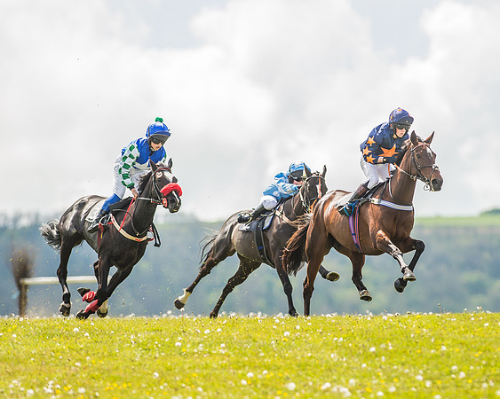 Pony Race 3 - 148cm Open-10
