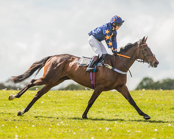 Pony Race 3 - 148cm Open-15