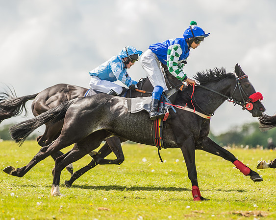Pony Race 3 - 148cm Open-16
