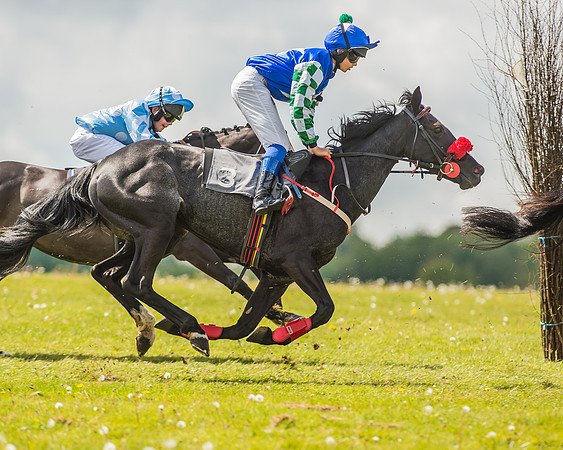 Pony Race 3 - 148cm Open-18