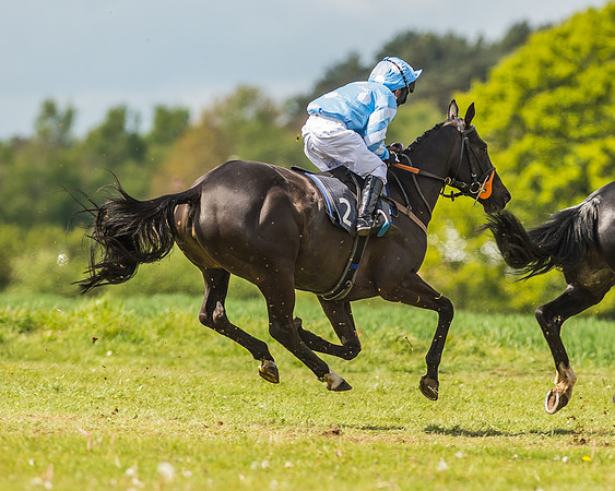 Pony Race 3 - 148cm Open-21